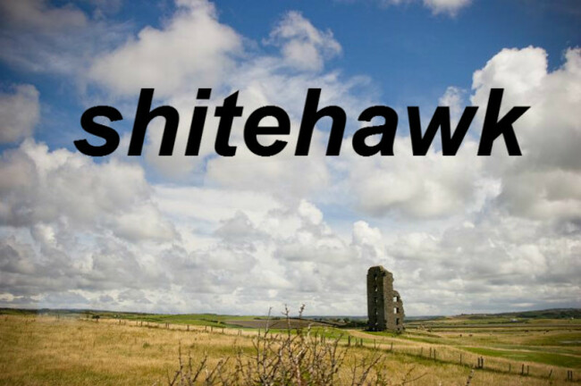 shitehawk