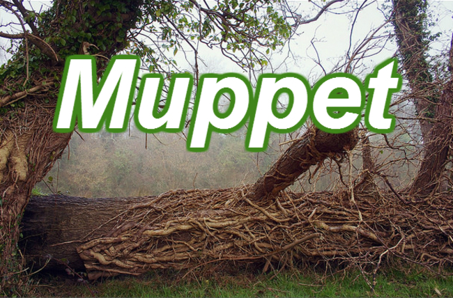 muppet