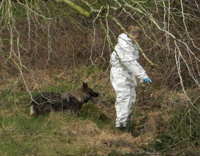 Bodies found in Ravensdale Park