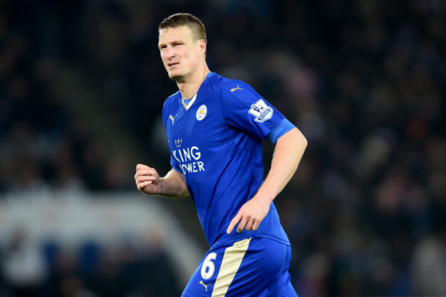 Leicester City v Newcastle United - Barclays Premier League - King Power Stadium