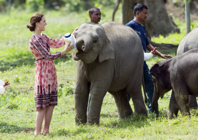 Royal visit to India and Bhutan - Day 4