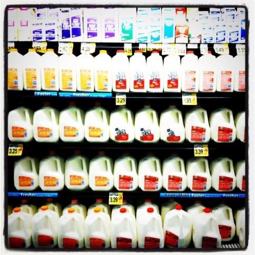 #milk #dairy #foodporn #supermarketporn #grocerystore #dairyaisle #florescent #lactoseintolerance