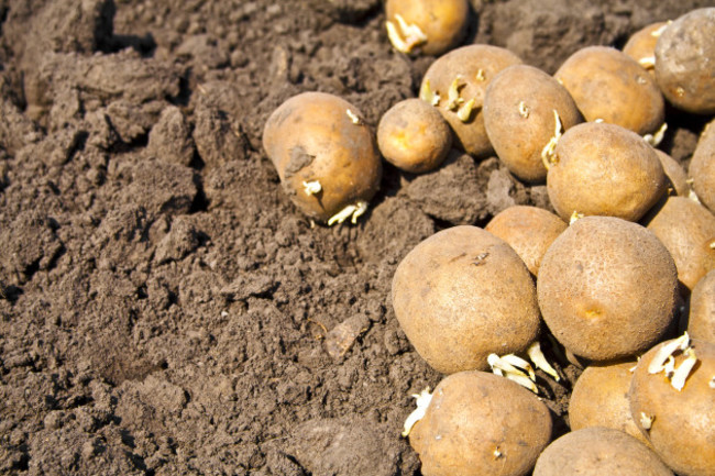 shutterstock_405973402