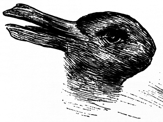 duck-rabbit