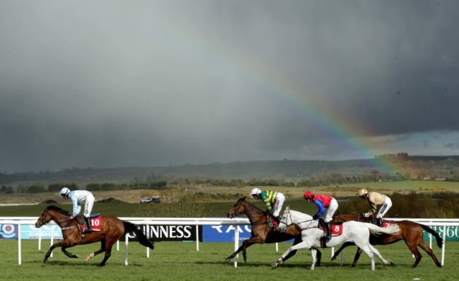 Runners and riders in The Ladbrokes Champion Stayers Hurdle