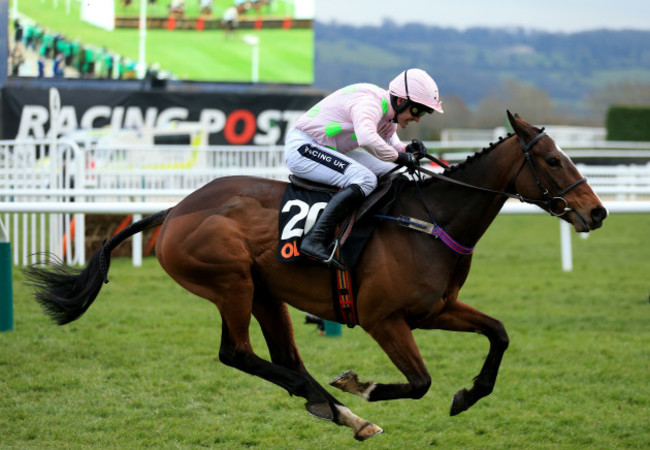 2016 Cheltenham Festival - Champion Day - Cheltenham Racecourse