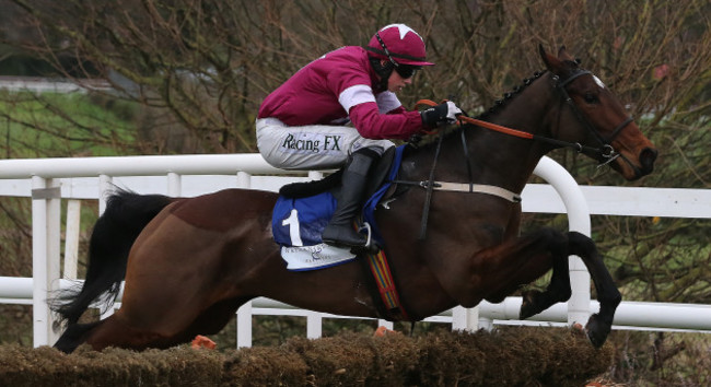 BHP Insurances Irish Champion Hurdle Day - Lepoardstown Races