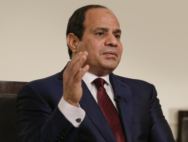 United Nations Summit Egypt Interview