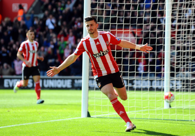 Southampton v Newcastle United - Barclays Premier League - St Mary's