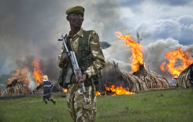 Kenya Ivory Burning