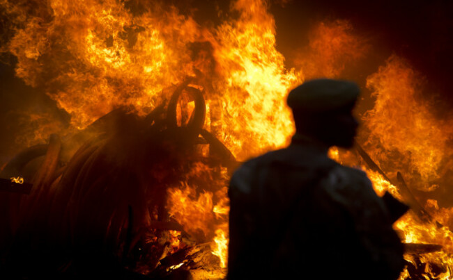 Kenya Ivory Burning