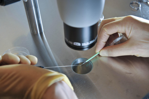 Genetic modification of human embryos