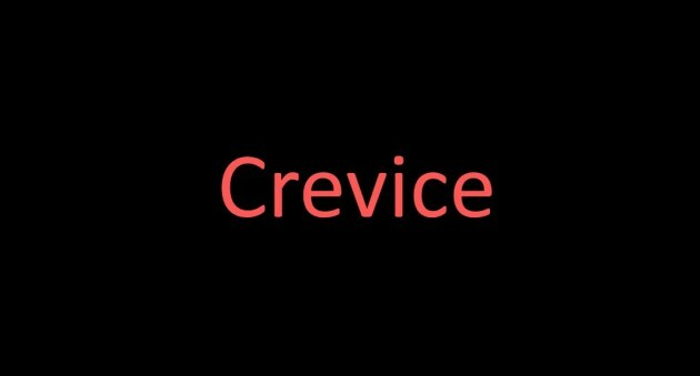 crevice