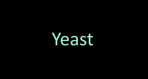 yeast