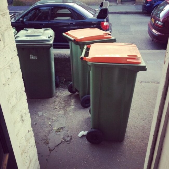 View from my front door. I think the wheelie bins are ganging up on me