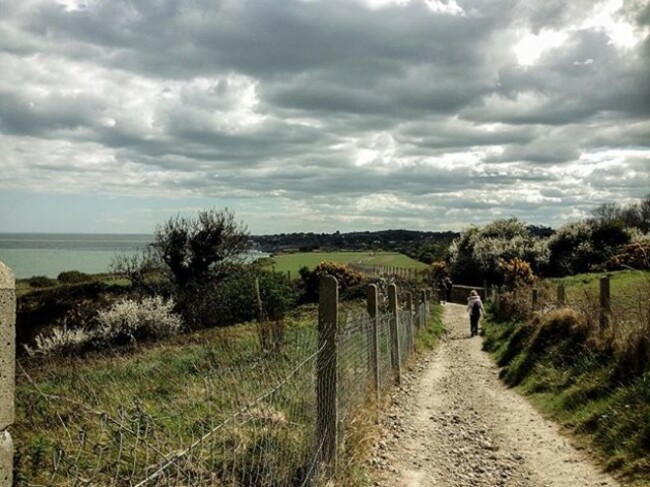 Walk by the sea side #spring #springwalk #cliffwalf #beach #sea #ocean #wicklow #greystones #bray #blueocean #ireland #discoverdublin #discoverireland #Europe #landscape #landscapes_captures #landscape_lovers #igers #igerdublin #field #irishfields #path