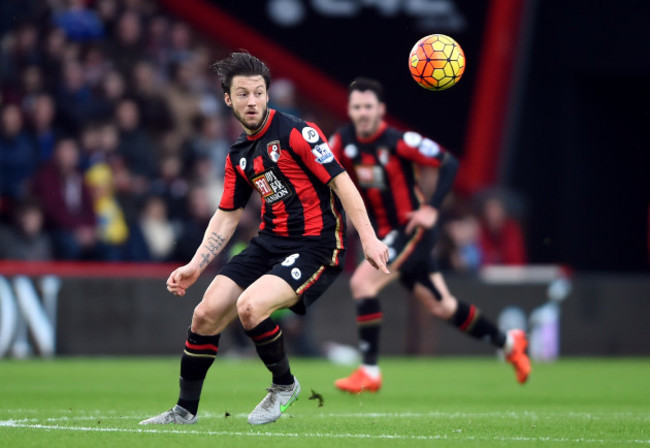 AFC Bournemouth v Crystal Palace - Barclays Premier League - Vitality Stadium