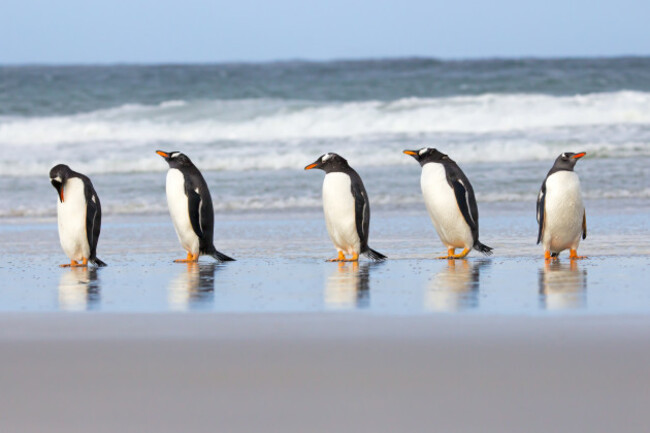 shutterstock_313341443