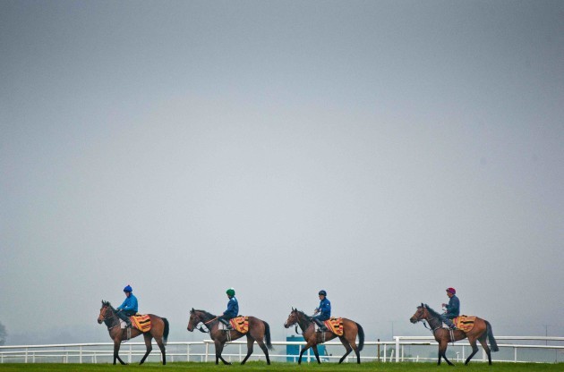 Kevin Prendergast's string gallop on the Curragh
