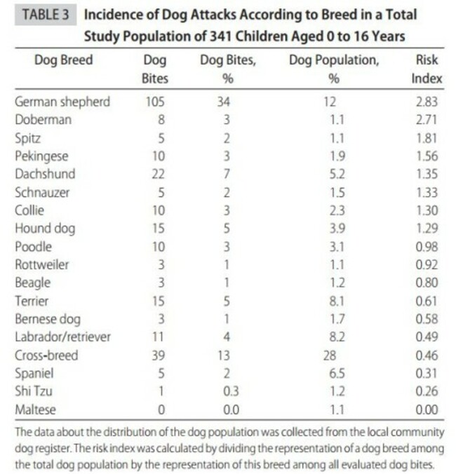 austriastudy