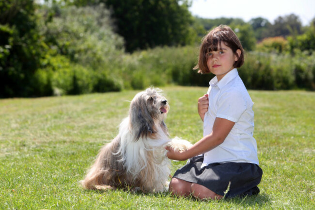 Kennel Club's Safe and Sound Quality Kitemark Resource launch