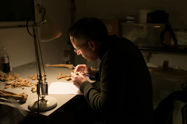 BARA on Spike _SHBean (1)