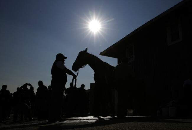 Preakness Horse Racing