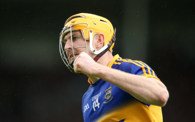 Seamus Callanan celebrates scoring a point