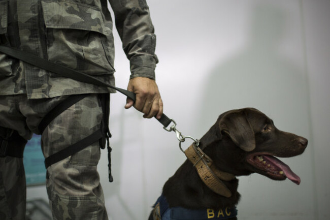 Brazil OLY Security Training