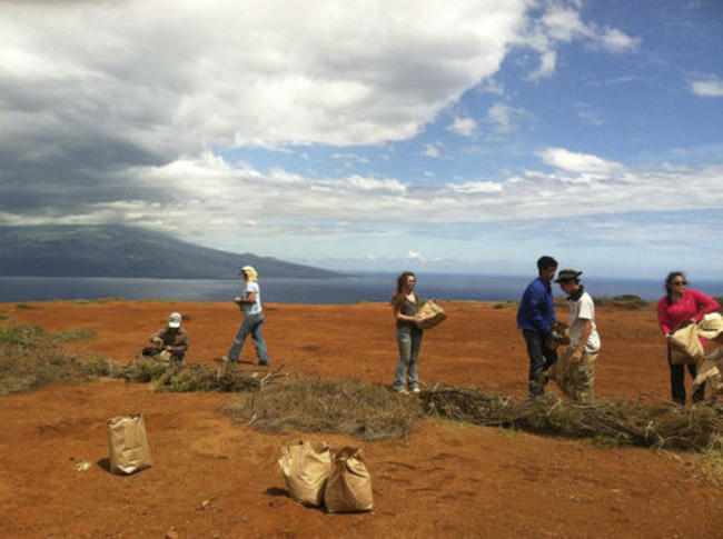Hawaii Bombed Island