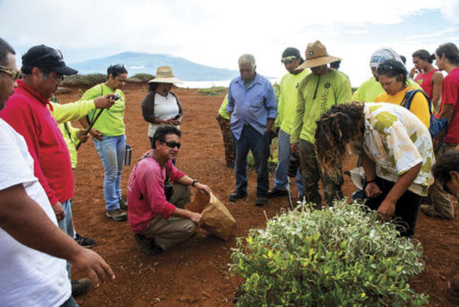 Hawaii Bombed Island