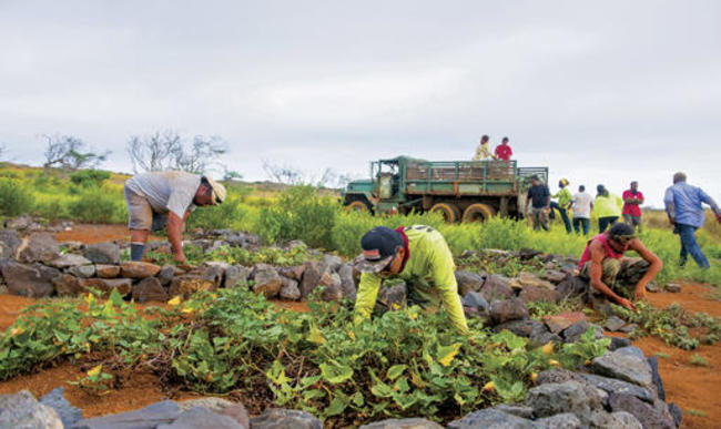 Hawaii Bombed Island