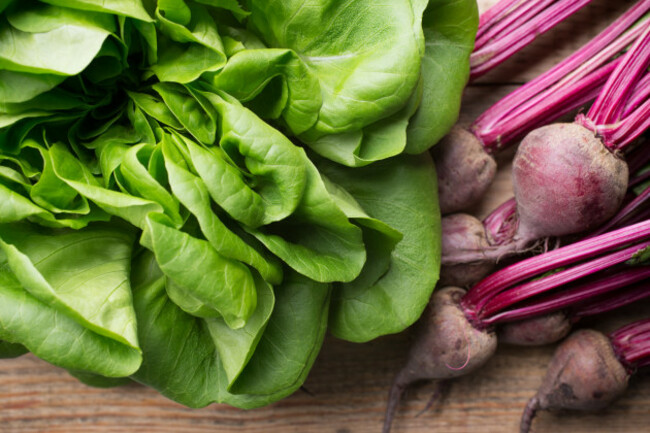 shutterstock_192578024