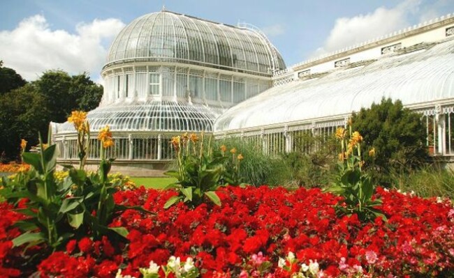 Flower_bed,_Botanic_Gardens,_Belfast_-_geograph.org.uk_-_1454550