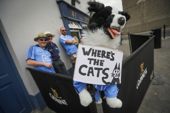 Dublin fan Bertie the Dog