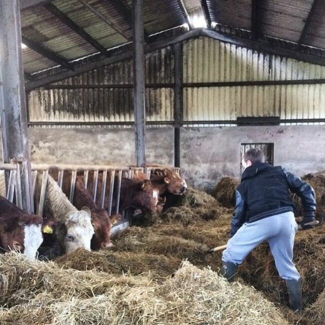 #saturdaymorning #brunch #farmlife #love #farmer #silage #calvingseason #cows #ruralireland #irishfarm #sonofthesoil