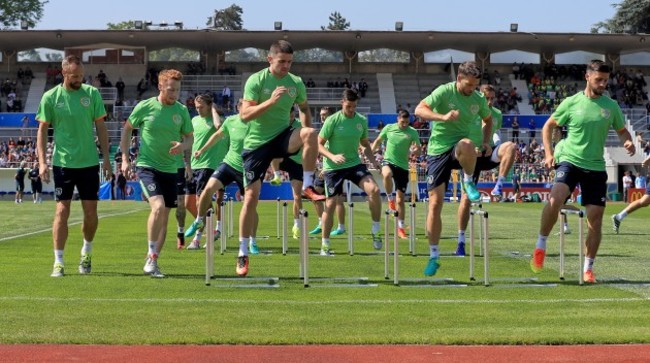 David Meyler, Stephen Quinn, Robbie Brady, Wes Hoolahan and Shane Long