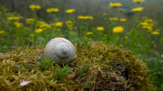 Alone in the garden