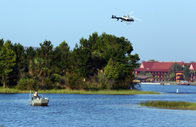 Alligator Drags Toddler