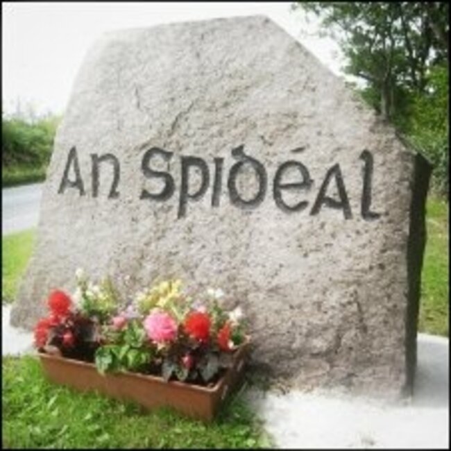 spidealLeac1