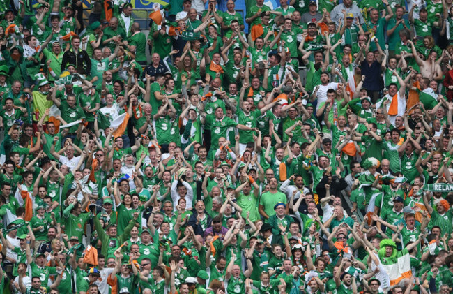 Ireland fans celebrate after Wes Hoolahan scored a goal