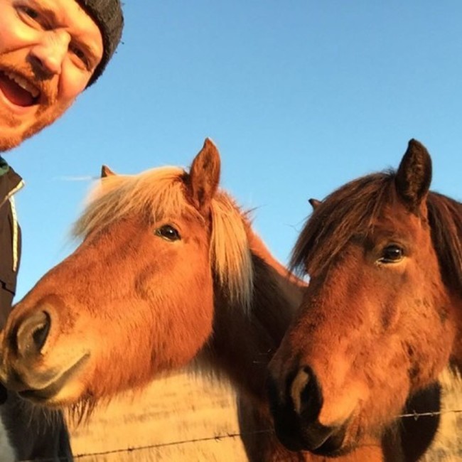 horse selfie