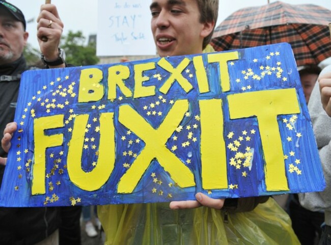EU referendum