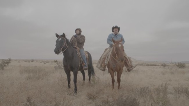 mom and me horses