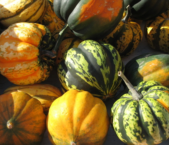 Squeeze some squash into your life · TheJournal.ie