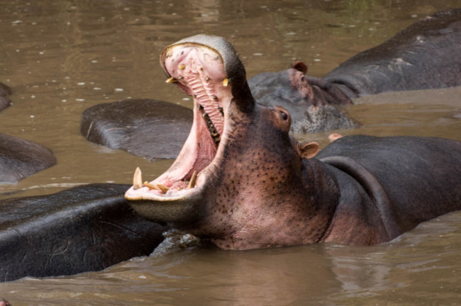 shutterstock_377580823