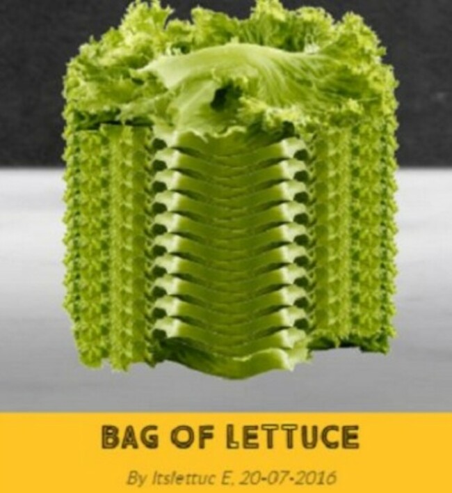 lettuce