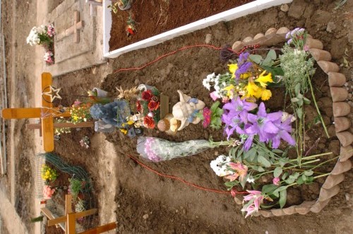 Rachel O'Reilly investigation - Balgriffin cemetery