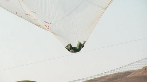 APTOPIX Skydiving Without Parachute