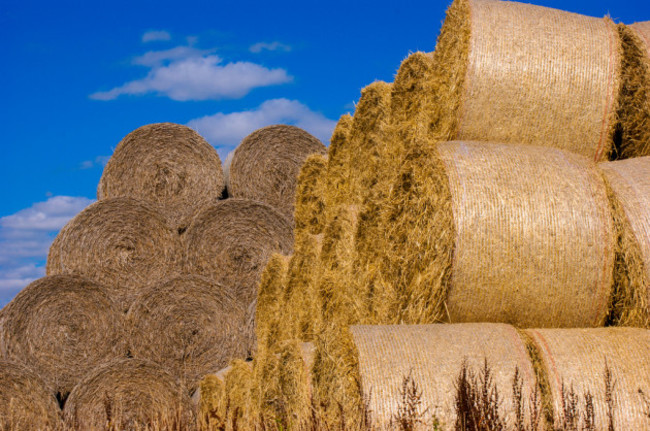 Hay bales